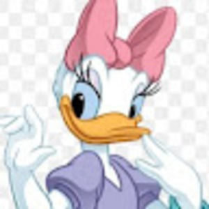 Meet your Posher, Daisy